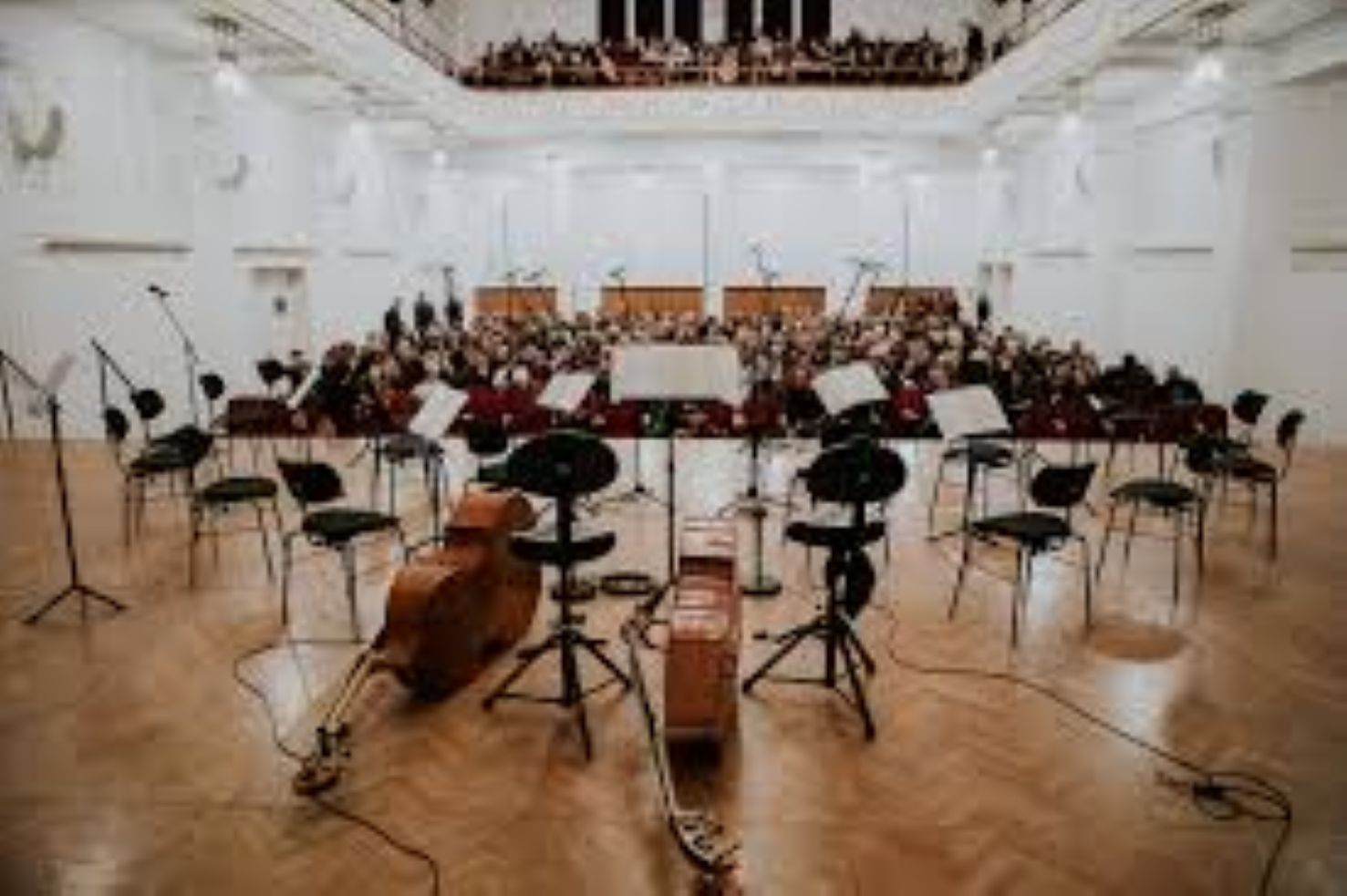 Festival Maribor 2025 – mesto glasbe, umetnosti in druženja