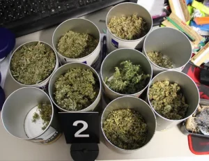 Hišna preiskava v Ajdovščini: Policisti zasegli več vrst prepovedanih drog